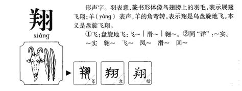 翔 五行|翔字的五行是什么,翔的五行属性及吉利寓意